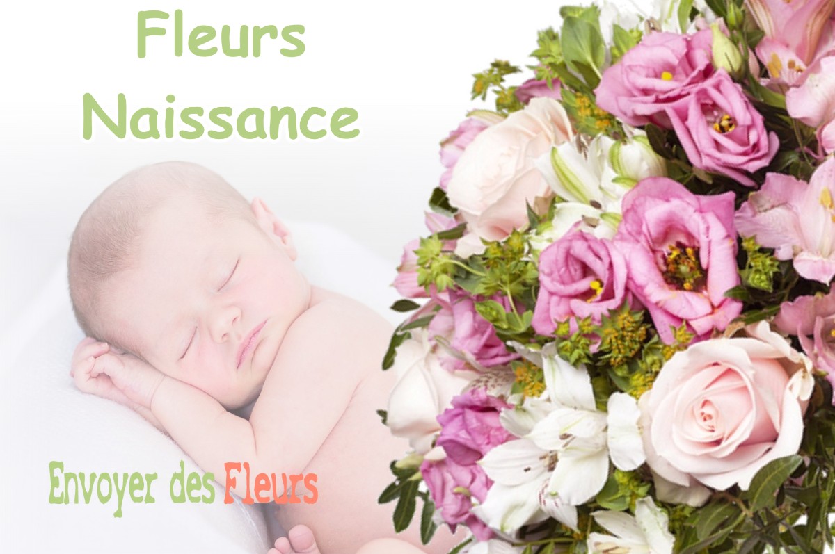 lIVRAISON FLEURS NAISSANCE à SAINT-LOUP-DE-GONOIS